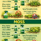 2x Weedi Super Concentrate Weed & Moss Killer | Glyphosate Free | Herbicide | Artificial Grass | Pelargonic Acid | Biodegradable | (up to 124m2 coverage)